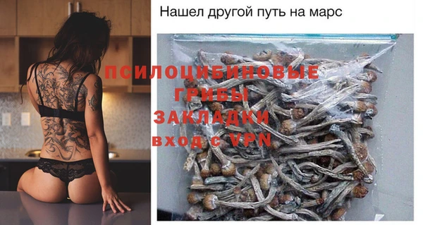 ПСИЛОЦИБИНОВЫЕ ГРИБЫ Балахна