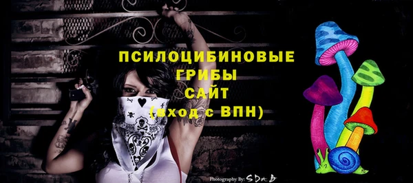 гидра Белоозёрский