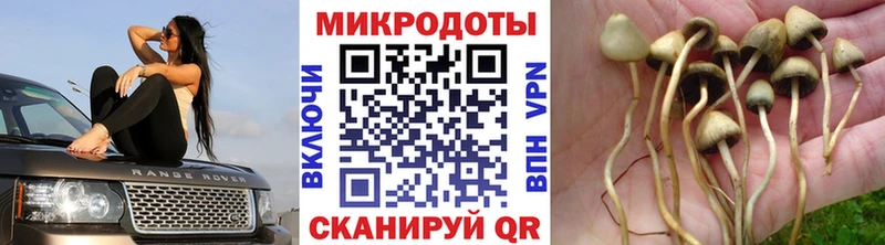 Галлюциногенные грибы мухоморы  Власиха 