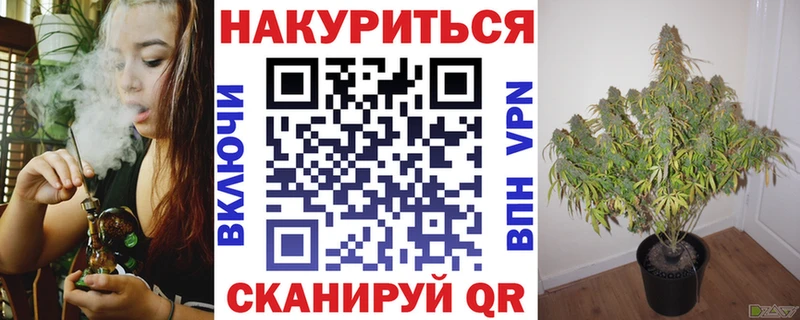 Каннабис ГИДРОПОН  сколько стоит  Власиха 